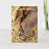 CARTE PIÈCES (Devant)