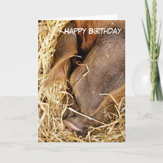 CARTE PIÈCES (Devant)