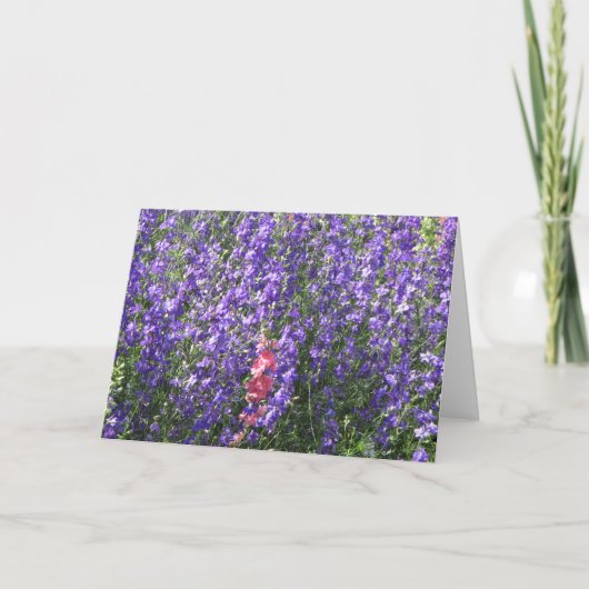 Carte Pieds-d'alouette (Devant)