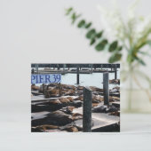 Carte Pier 39 Sea Lions (Debout devant)