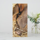 CARTE PIG (Debout devant)