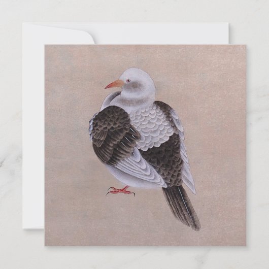 Carte Pigeon (Devant)