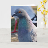 Carte Pigeon (Fleur jaune)