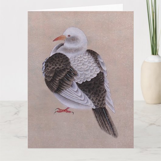Carte Pigeon (Devant)