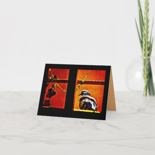 Carte Pigeon agréable (Devant)