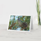 Carte Pigeon en bois de pin (Devant)