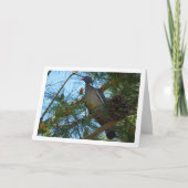 Carte Pigeon en bois de pin (Devant)