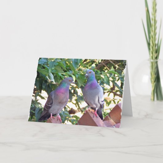 Carte Pigeon friends (Devant)