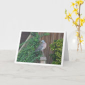 Carte Pigeon ramier commun sur une clôture (Fleur jaune)