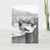 Carte Pigeons sur un pont (Devant)