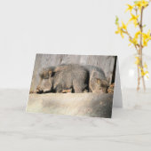 Carte Piges floues (Fleur jaune)