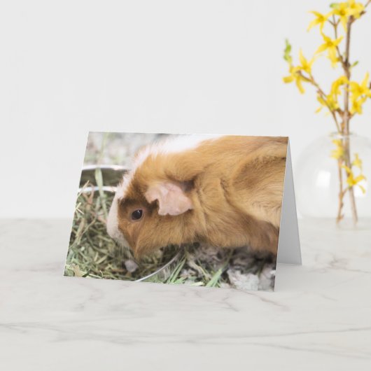 Carte Piggy (Fleur jaune)