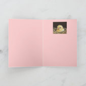 Carte Piggy (Intérieur)