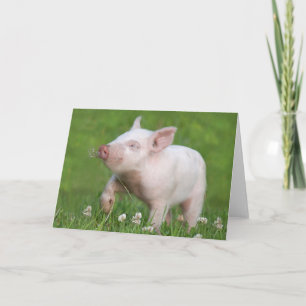 Carte Piglet blanc mignon sent une fleur