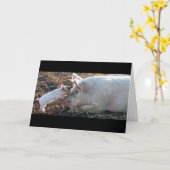 Carte Piglet de baiser (Fleur jaune)