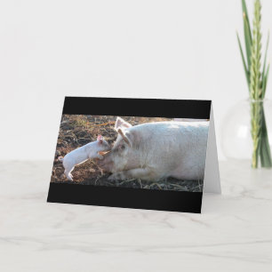 Carte Piglet de baiser