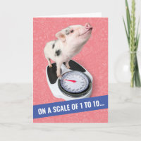 Piglet mignon sur une échelle de 1 à 10 Anniversai