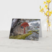 Carte Pika Christmas Card (Fleur jaune)