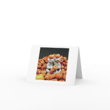 Pile citrouille - souris