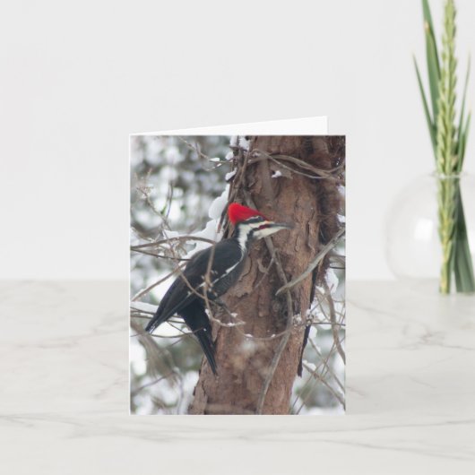 Carte Pileated Woodpecker (Devant)