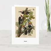 Carte Pileated Woodpecker from Audubon Birds of America (Dos)