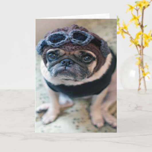 Carte Pilote de carlin (Fleur jaune)