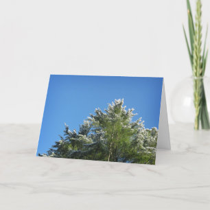Carte Pin à pointes de neige sur le ciel bleu