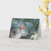 Carte pin et cônes (Fleur jaune)