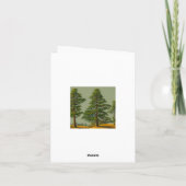 Carte Pin nordique Abstrait (Dos)