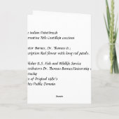 Carte / Pinceau indien / Noël (Dos)