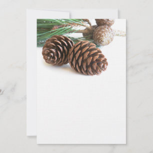 Carte Pine branch and cones