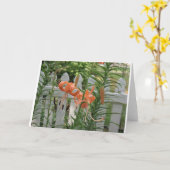 Carte Pine Lake Lilies (Fleur jaune)