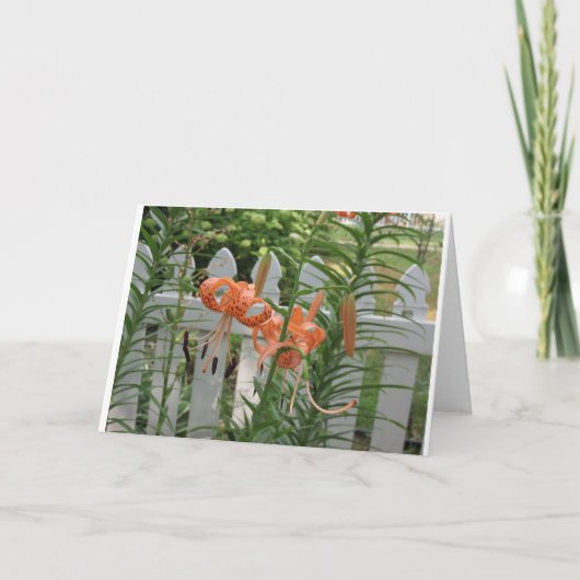Carte Pine Lake Lilies (Devant)