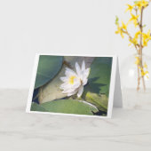 Carte Pine Lake Water Lily (Fleur jaune)