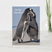 Carte Pingo Hugs - Valentine (Devant)