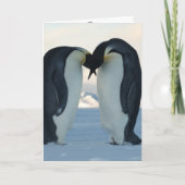 Carte Pingouin (Devant)