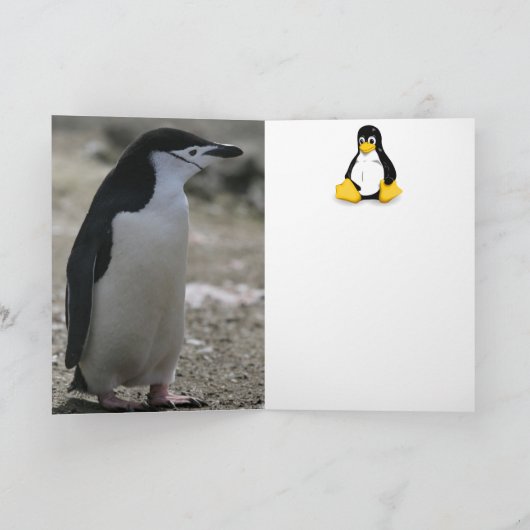 Carte Pingouin (Intérieur)