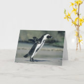 Carte Pingouin africain, (demersus de Spheniscus), (Fleur jaune)