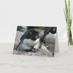 Carte Pingouin de Rockhopper avec des poussins