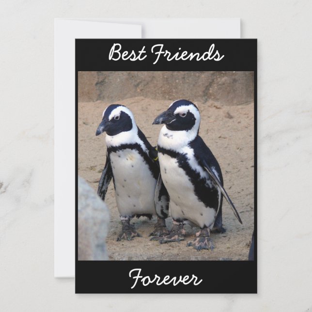 Carte Pingouins (Devant)