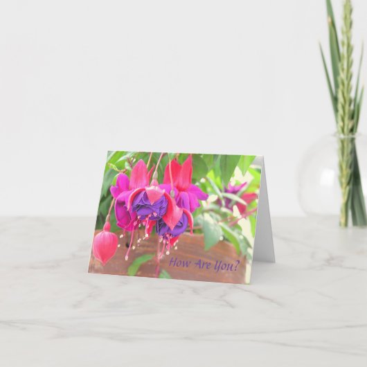 CARTE PINK AND PURPLE FUCHSIA CASCADING FROM CLAY POT (Devant)