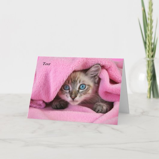 Carte Pink Blankie Thinking of You Cat/Kitten Card (Devant)