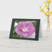 Carte Pink Charm Morning Glory Blank (Fleur jaune)