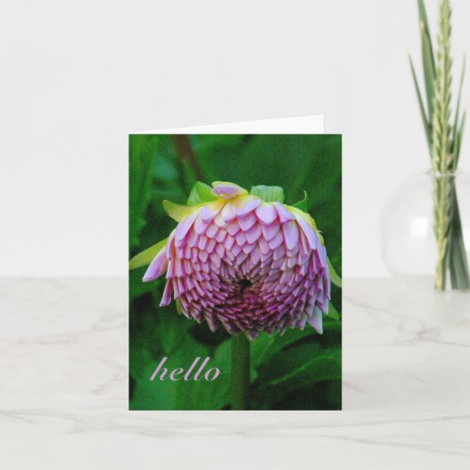 CARTE PINK DAHLIA (Devant)