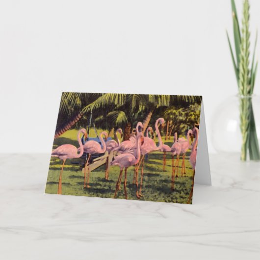 Carte Pink Flamingos in Florida (Devant)