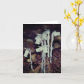 Carte Pink Indian Pipe Wildflowers Nature Note (Fleur jaune)