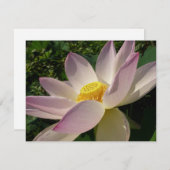 Carte Pink Lotus Flower III Summer Floral (Devant / Derrière)