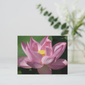 Carte Pink Lotus Flower IV (Debout devant)
