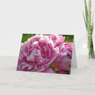 Carte Pink Peony photo cottage ferme jardin fleuri