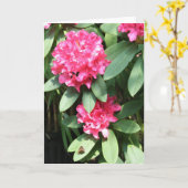 Carte Pink Rhododendron with small Butterfly Greeting (Fleur jaune)